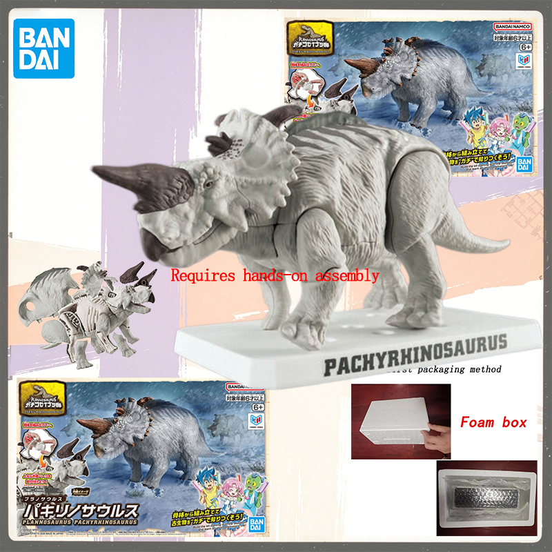 Model Kit Dinosaur Bandai - 재고 있음 반다이 정품 플라노사우루스 파키리노사우루스