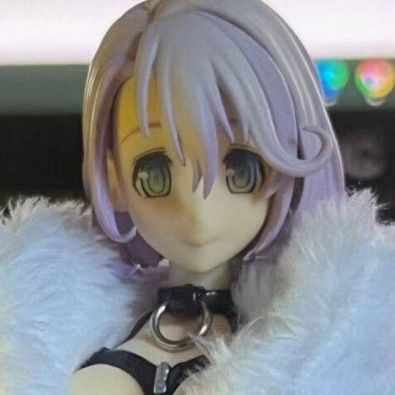 재고가 많지 않음. 세콘 악스 시즈에 미나세. 절판된  - Model Kit Waifu 리뷰 및 가격