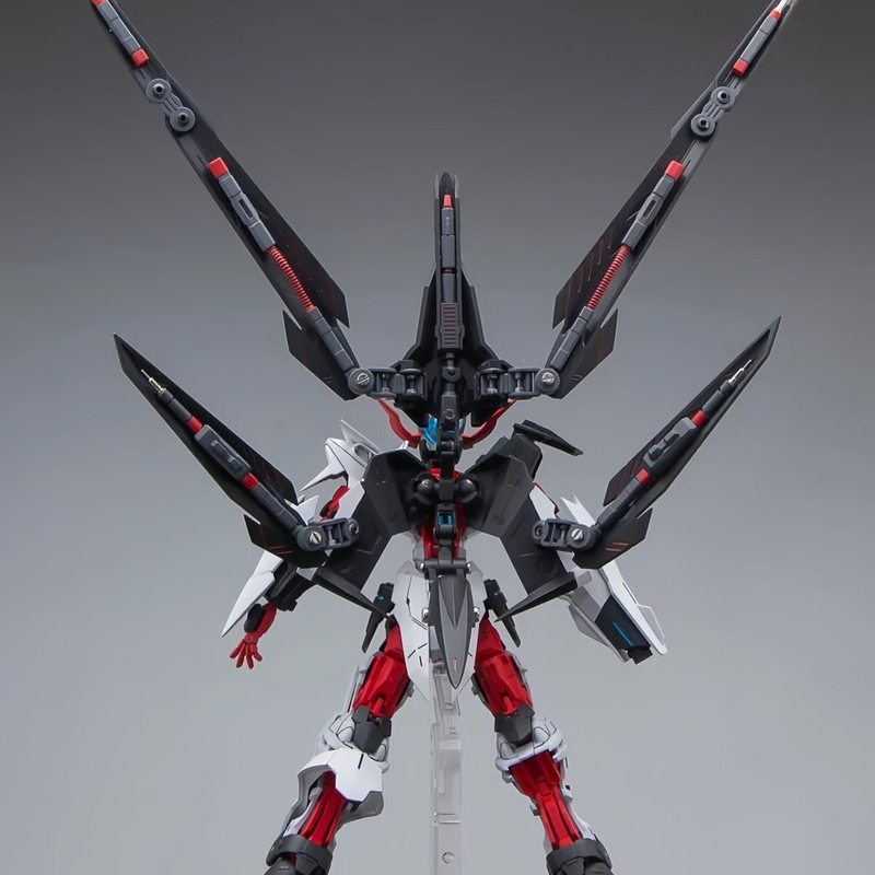 HG 1/144 Astray No-Name Astray - Model Kit Rg 리뷰 및 가격