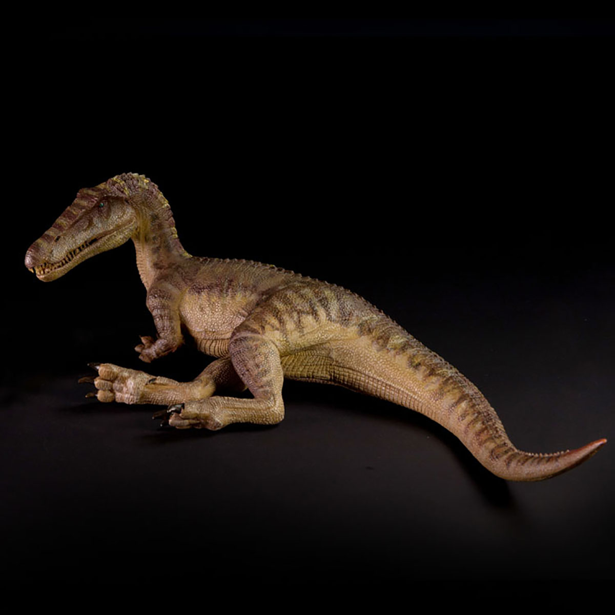 스팟 세일 쥬라기 나무누스 바리오닉스 산티아고 칼립소  - Model Kit Dinosaur Bandai 리뷰 및 가격