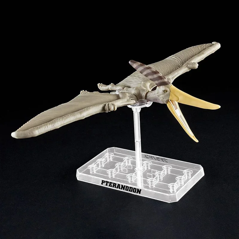 반다이 Plannosaurus 공룡 티라노사우루스 Gi - Model Kit Dinosaur Bandai 리뷰 및 가격