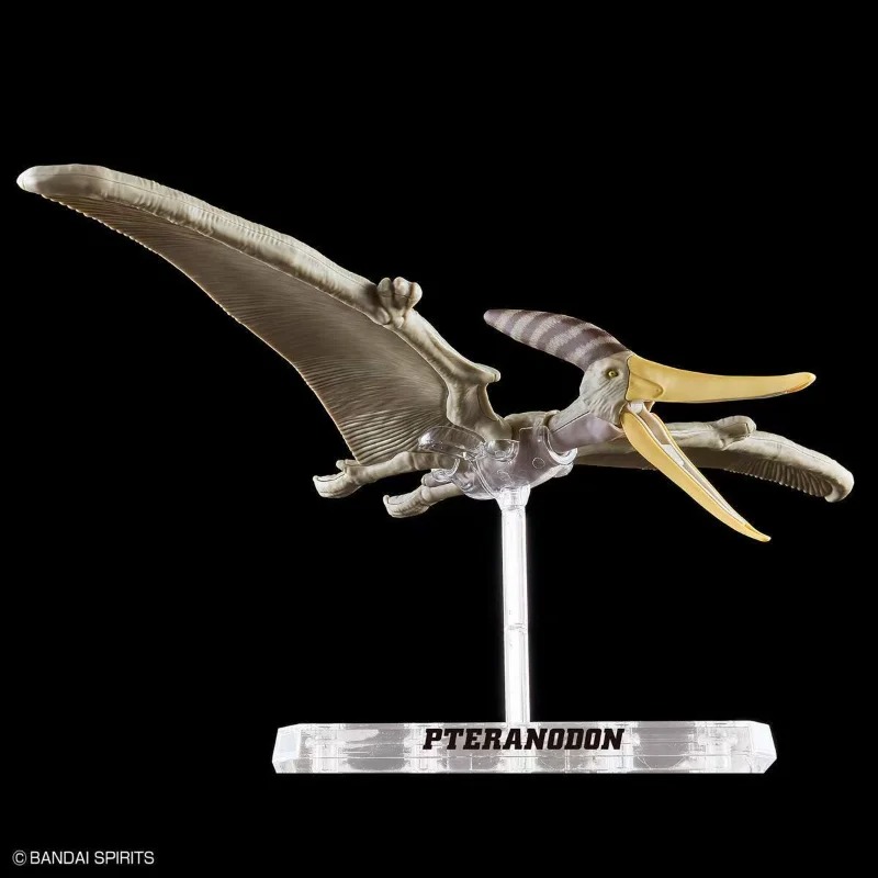 반다이 플라노사우루스 테라노돈 공룡 골격 화석 조립 모 - Model Kit Dinosaur Bandai 리뷰 및 가격